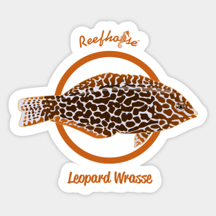 Leopard Wrasse Sticker